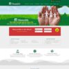 Thiết kế web bảo hiểm 02