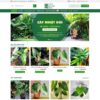 Thiết kế web bán cây xanh 02