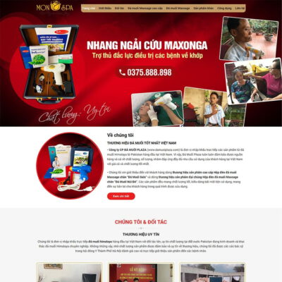 Thiết kế web bán đá muối