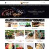 Thiết kế web đá quý, vật phẩm phong thủy 02