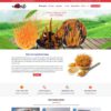 Thiết kế web đông trùng hạ thảo