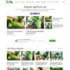 Thiết kế web tin tức 12