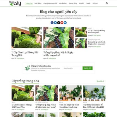 Thiết kế web tin tức 12