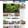 Thiết kế web tin tức 04