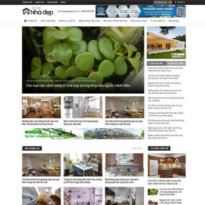 Thiết kế web tin tức 04
