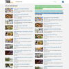 Thiết kế web đánh giá giống TopList